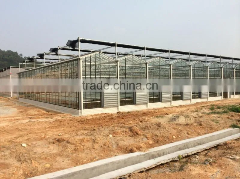 Prefabricated agriculture steel structure greenhouse