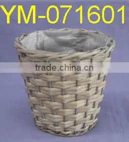 Cheap Garden Plant and Pot