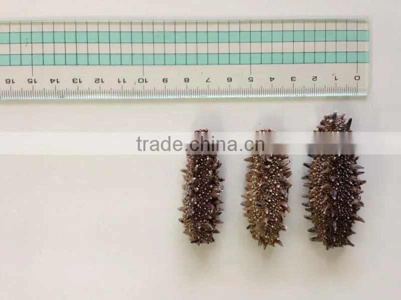 dried sea cucumber from hokkaido japan