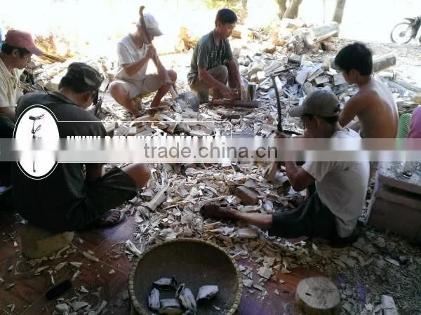 100% Wild & Natural Agarwood Chips in Vietnam