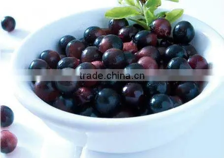 ACAI POWDER