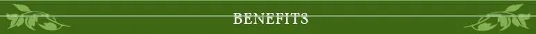 100% Organic Lotus Beauty Soap Sellers