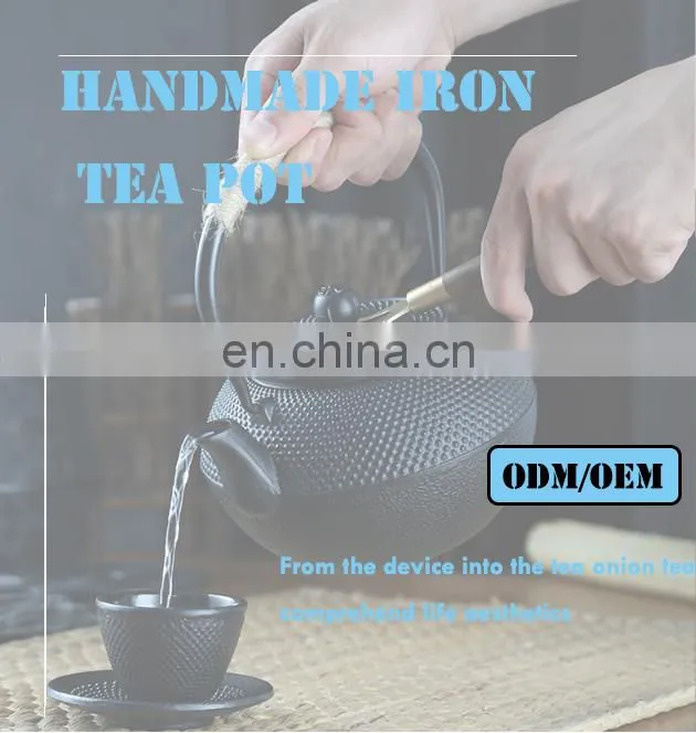 Pumpkin Tea Kettle with 2 Cups Japanese Tea Set with Stainless Steel Infuser Enamel Tetsubin Chinese Cast Iron Teapot Pot Set