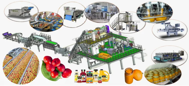 Factory Genyond Complete Prickly Pear Fruit Juice Paste Production Line / Prickly Pear Jam Processing Plant Making Machine