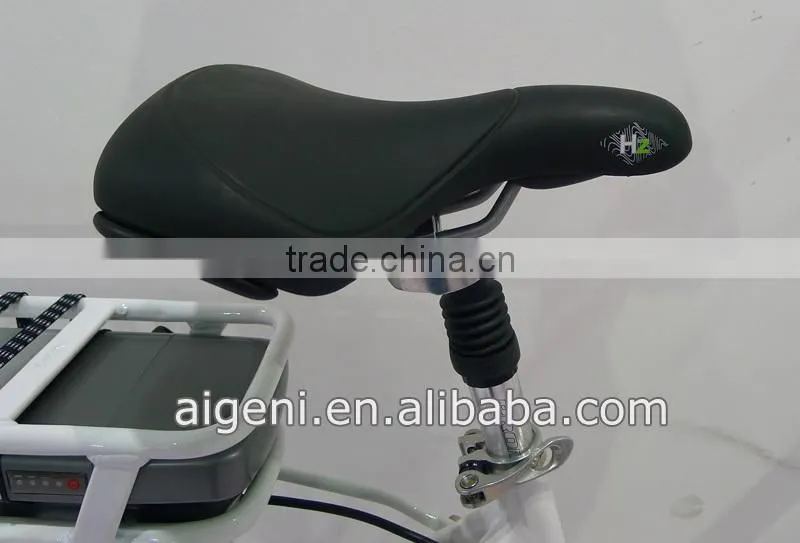 Electric bike mid motor