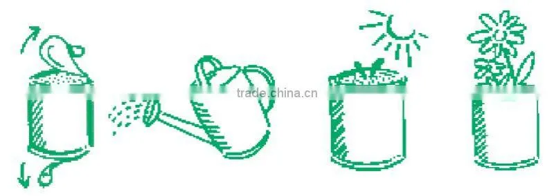 Can flower of apple