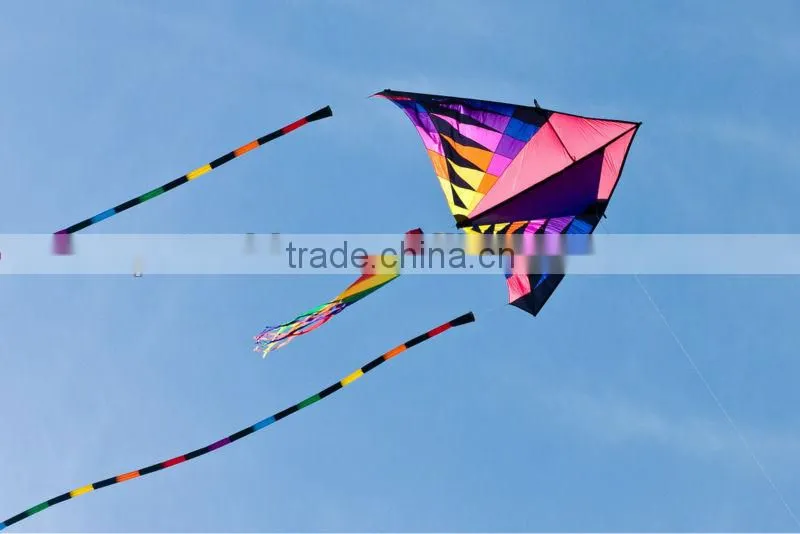 3m delta kite