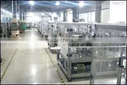 2015 fruit and vegetable packing machine