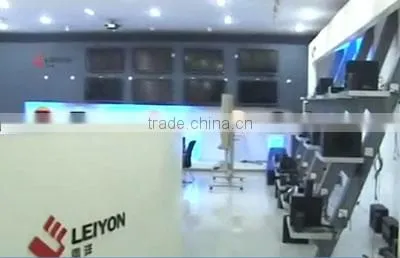 Guangdong Leiyon Intelligence Technology Corp company overview - view 2