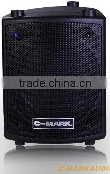 professional plastic active speaker SU10N