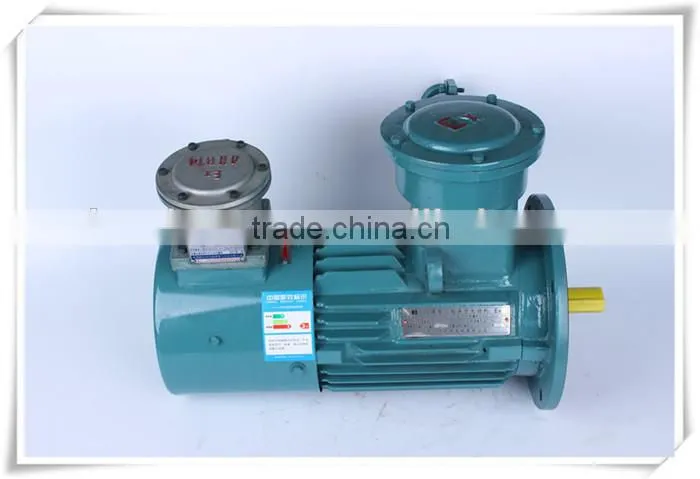 Variable Frequency Motor