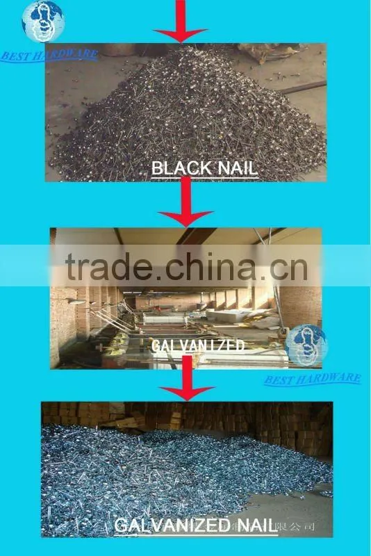 Galvanized umbrella roofing nail
