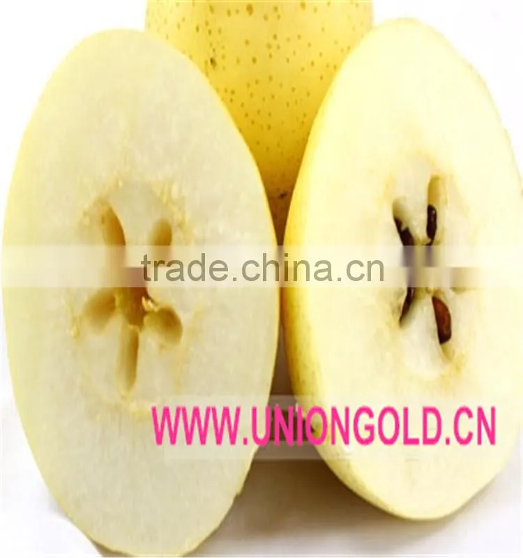 He Bei Fresh ya pear