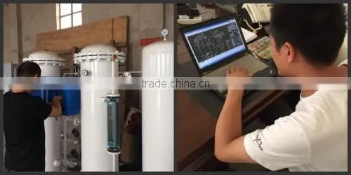Low Price and functional Nitrogen Generator Psa