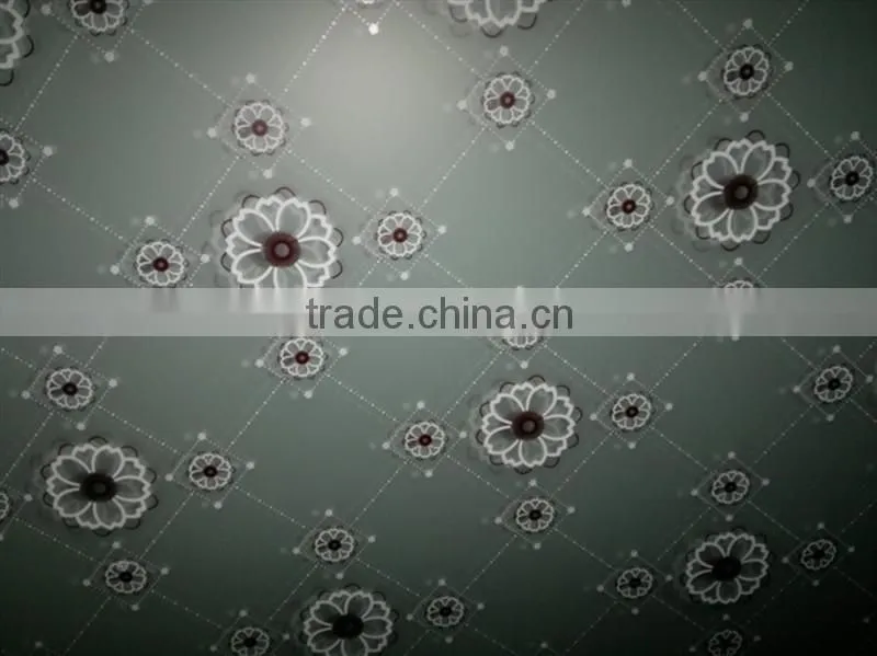 china factory price design frosted silk-screen printing glass