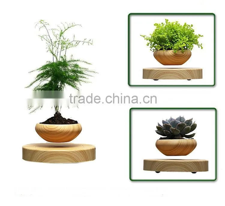 air bonsai pots air plant pots in China