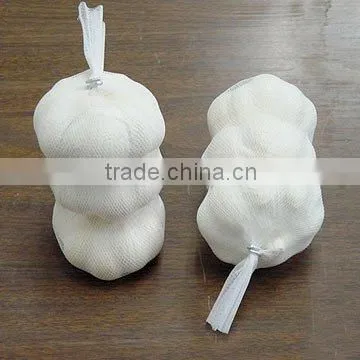 Fresh normal white garlic from cold store