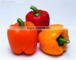 Chinese Fresh Bell Pepper