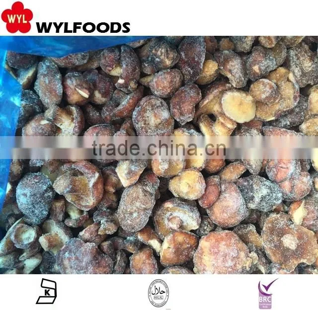 2015 low price frozen Suillus granulatus