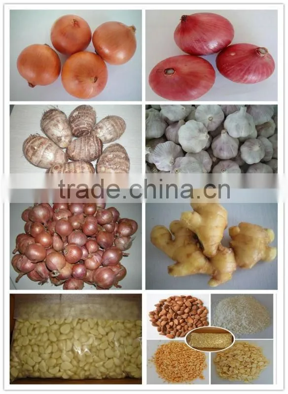 Authenticated GAP/HALAL Chinese frozen taro root plant