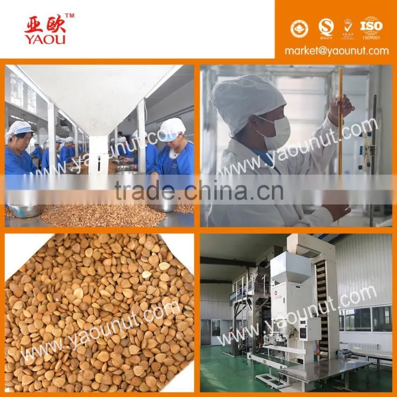 Bitter Apricot Kernels