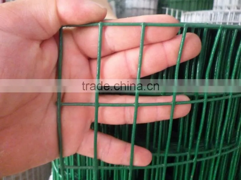green pvc coated welded holland wire mesh
