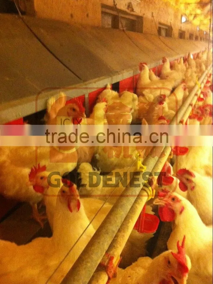 Goldenest automatic egg collection system chicken nesting boxes factory price JCJ15-A02