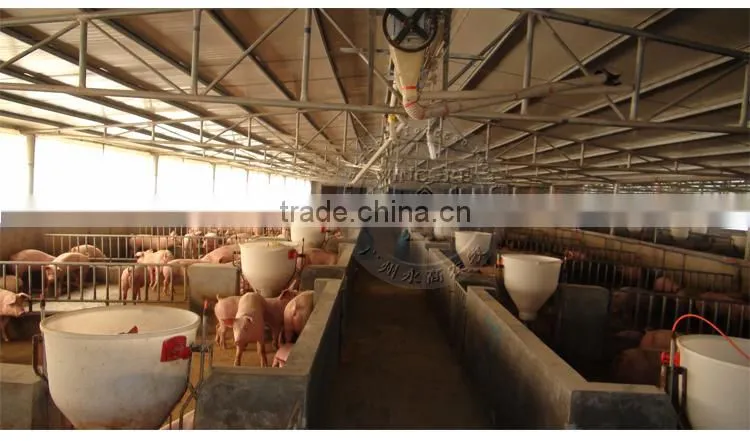 Automatic pig feeding system for fattening pig