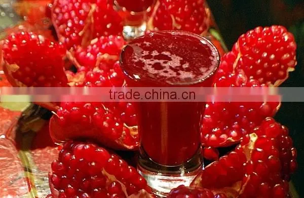 cold press juicer machine,slow juicer