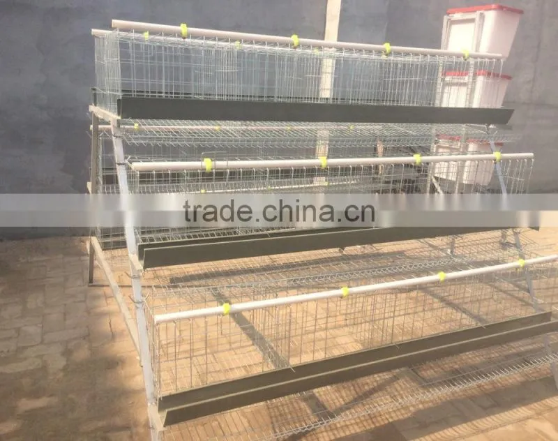 Chicken Coop Wire Mesh/Chicken Wire Animal Cage