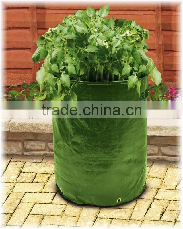 carrot patio planters