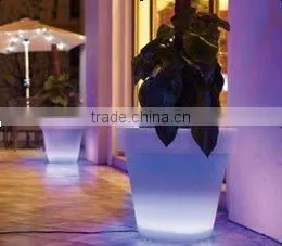 hot selling flashing led fruit plate