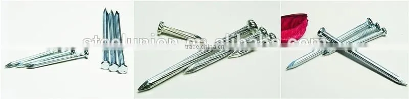 galvanized concrete steel nail/concrete nails/steel nail