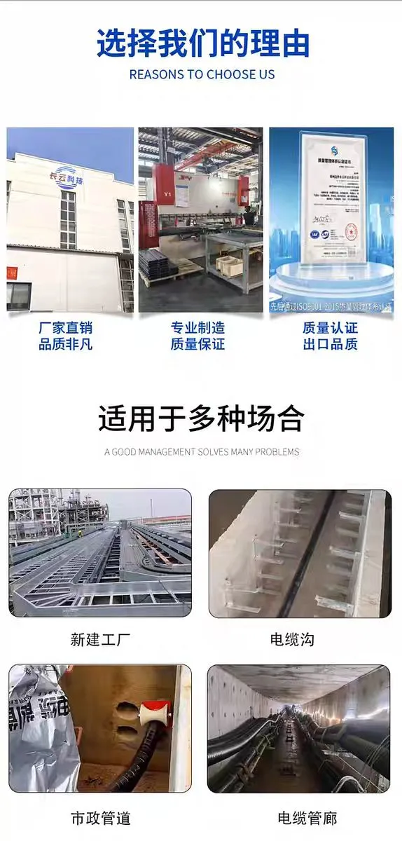 详情1.jpg.webp