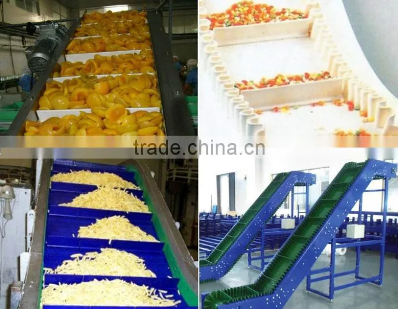Stainless Steel Fruit Belt Conveyor Price