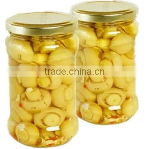 high quality canned whole button mushroom