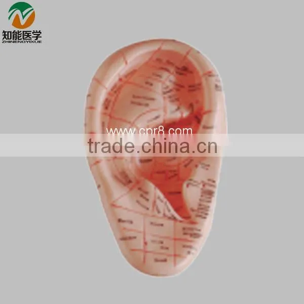 Ear massage model 23cm BIX-Y1026