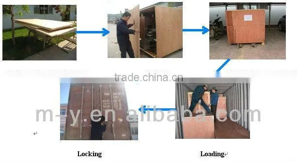 High quality roasted and salted peanut production line with CE