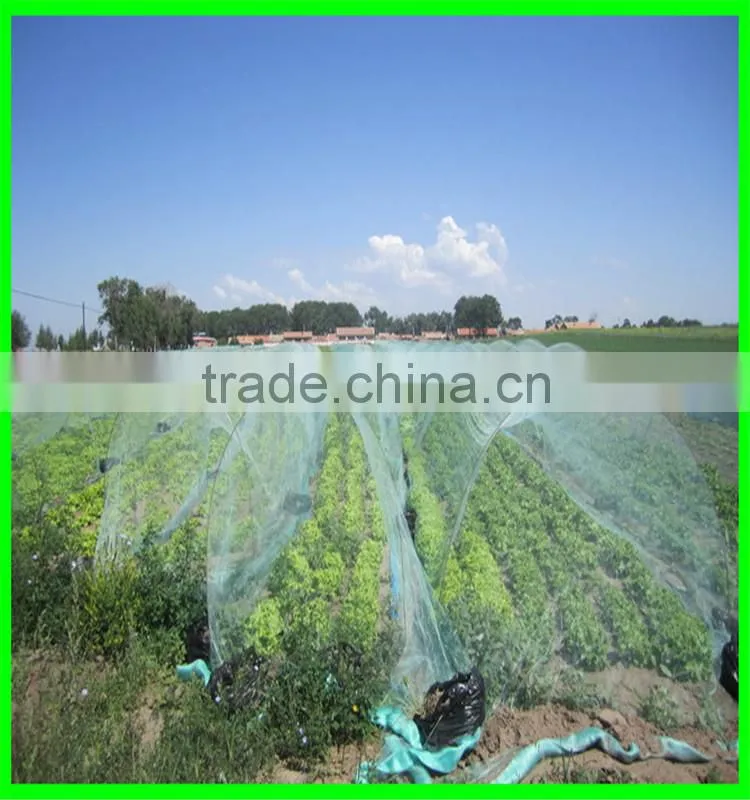 Anti hail systems/ Anti Hail Net / Hail protection nets for agriculture