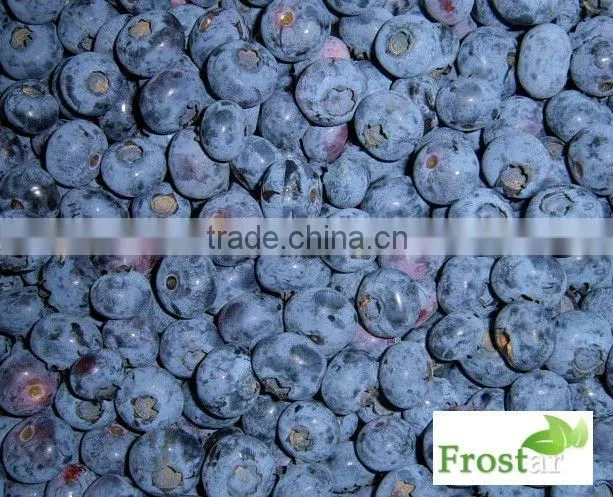 Frozen blueberry