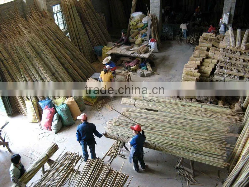 Brown colored bamboo garden canes