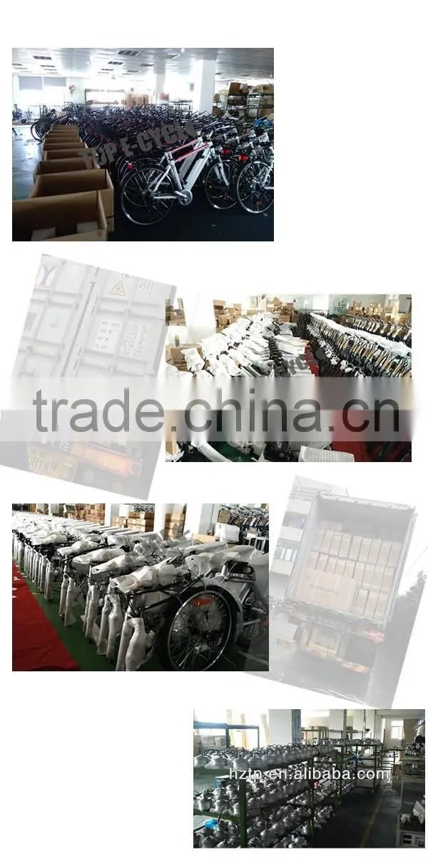 TOP/OEM wholesale bottle tube lithium battery lifepo4