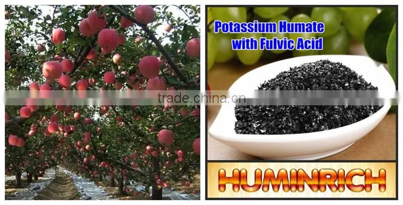 Relationship Between Root Growth And Fertilization Of Fruit Trees