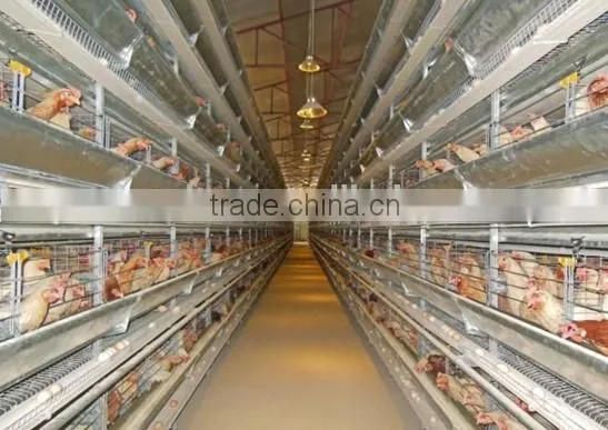 prefabricated poultry farm chicken house