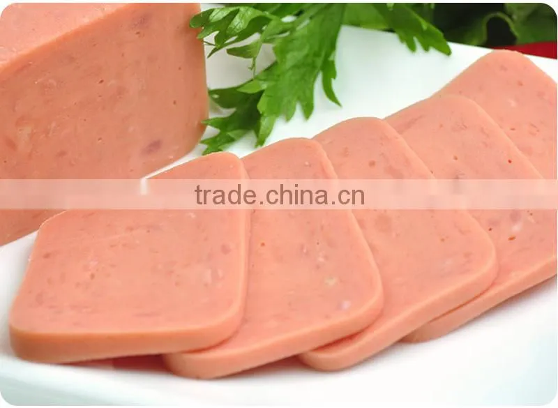 protein powder for meat