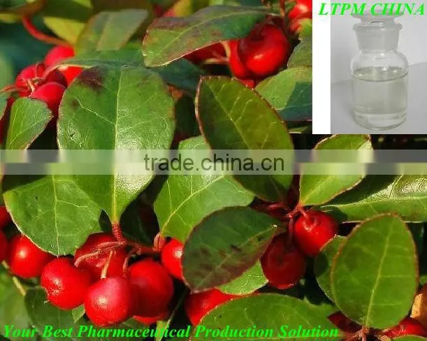 Methyl Salicylate Oil,Wintergeen pure essential oil