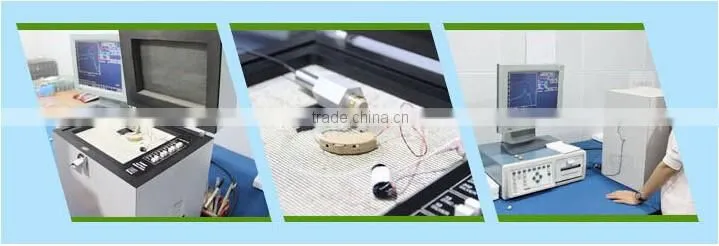 In-Ear Canal Sound Amplifier Deaf Hearing Aids