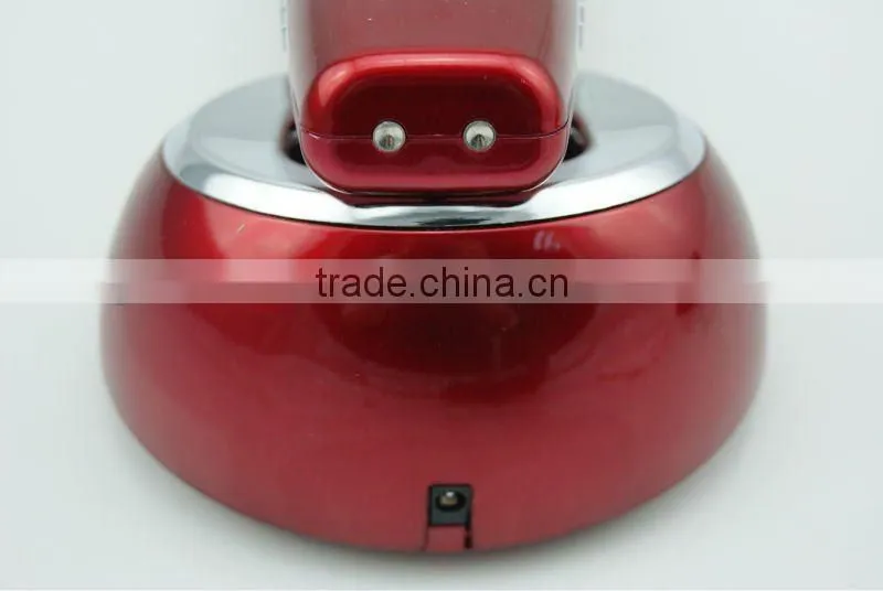 Handheld Beauty spa galvanic facial massager