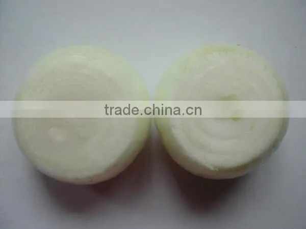 White good peeled onion producer in china