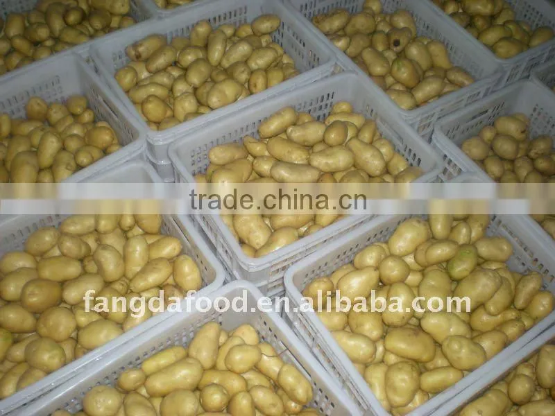 POTATOES